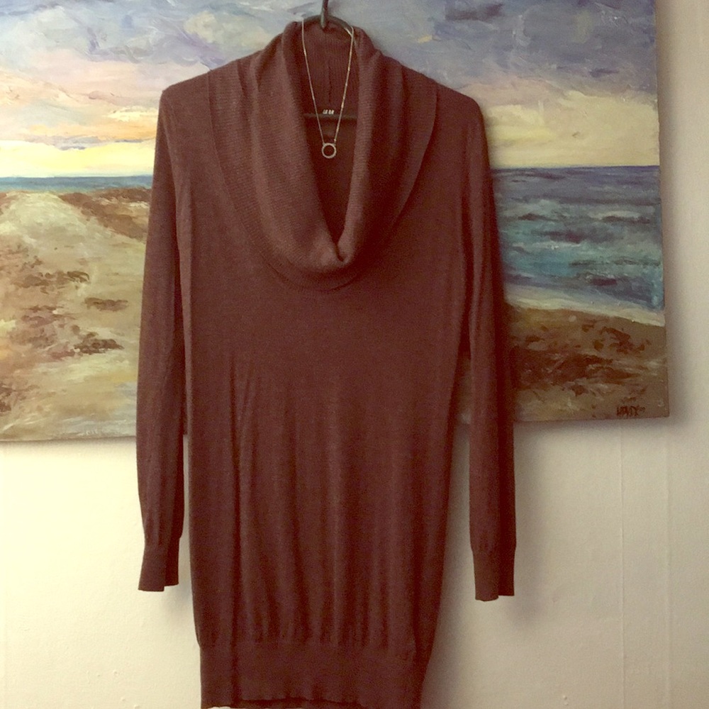 H&M Long Cowl Neck Sweater/dress